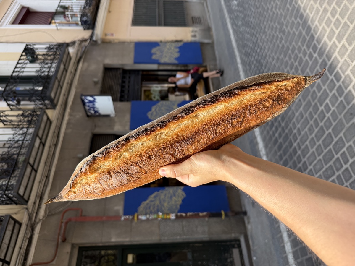 Artisan baguette with crisp crust and open crumb from Santo Bakehouse